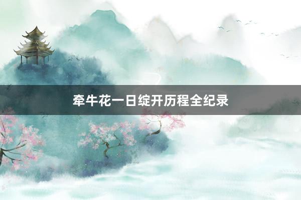 牵牛花一日绽开历程全纪录